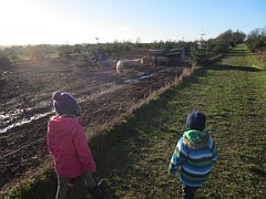 5 dec - Hente juletrae paa Dyssegaard