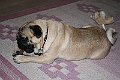 IMG_6723