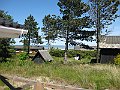 IMG_1493