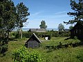 IMG_1495