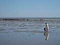 IMG_1545