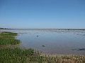 IMG_1548