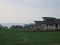 269_6941