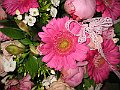 IMG_1799