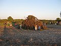 IMG_1891