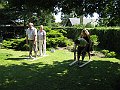 IMG_1982