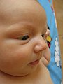 IMG_2020
