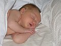 IMG_2101