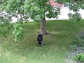 IMG_2103