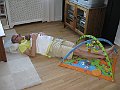 IMG_2142