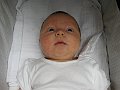 IMG_2295