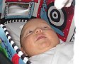 IMG_2608