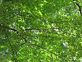 IMG_2648