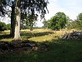 IMG_2664