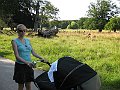 IMG_2673
