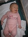 IMG_2908
