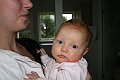 IMG_2784c