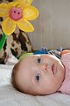 IMG_2916d