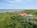 IMG_2949