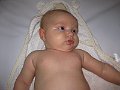 IMG_3384