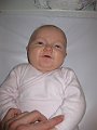 IMG_3520