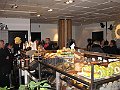 IMG_3720