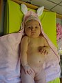 IMG_3786
