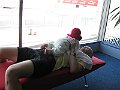 IMG_4399
