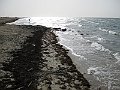 IMG_4461