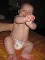 Picture 096