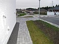 IMG_1354