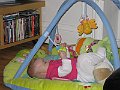 IMG_1442