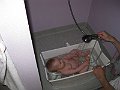 IMG_1544