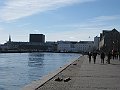 MilleCC 049