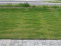 IMG_9331