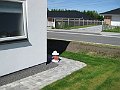 IMG_9373