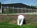IMG_9390