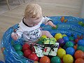 IMG_9519