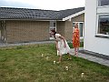 IMG_9987