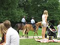 IMG_0067