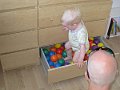IMG_0204v