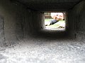 IMG_0662