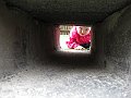 IMG_0663