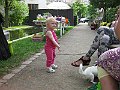 IMG_1113
