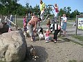 IMG_0465
