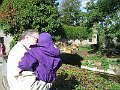 IMG_1535
