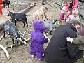 IMG_1549