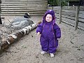 IMG_1563