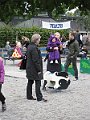 IMG_1568