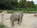 IMG_1580